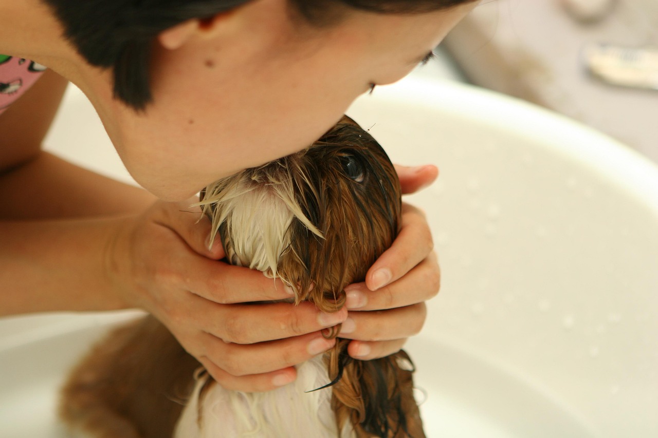 portfolio-img-02 dog, puppy, nature, bath, water, animal, person, girl, friendship, kiss, pet